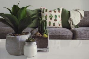 Home Staging: Come Aumentare il Valore del Tuo Immobile a Casalecchio di Reno