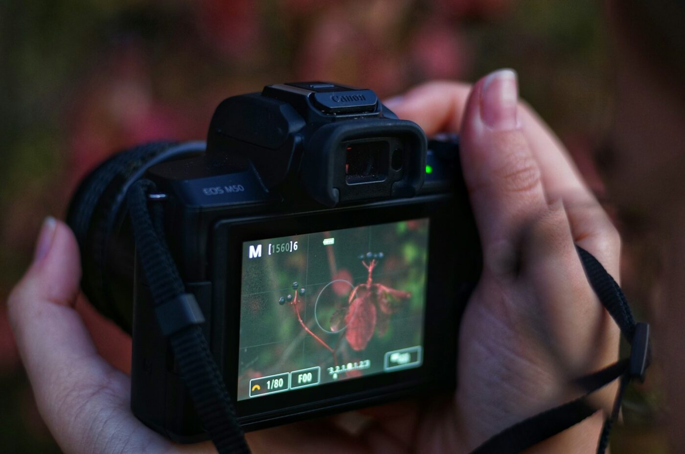 Vivere a Casalecchio di Reno: 5 Motivi Sorprendenti per Scegliere la Vita alle Porte di Bologna