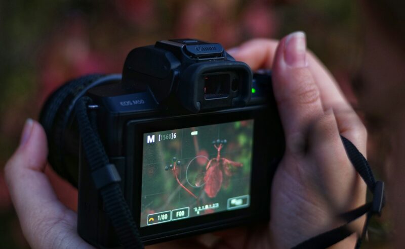 Vivere a Casalecchio di Reno: 5 Motivi Sorprendenti per Scegliere la Vita alle Porte di Bologna