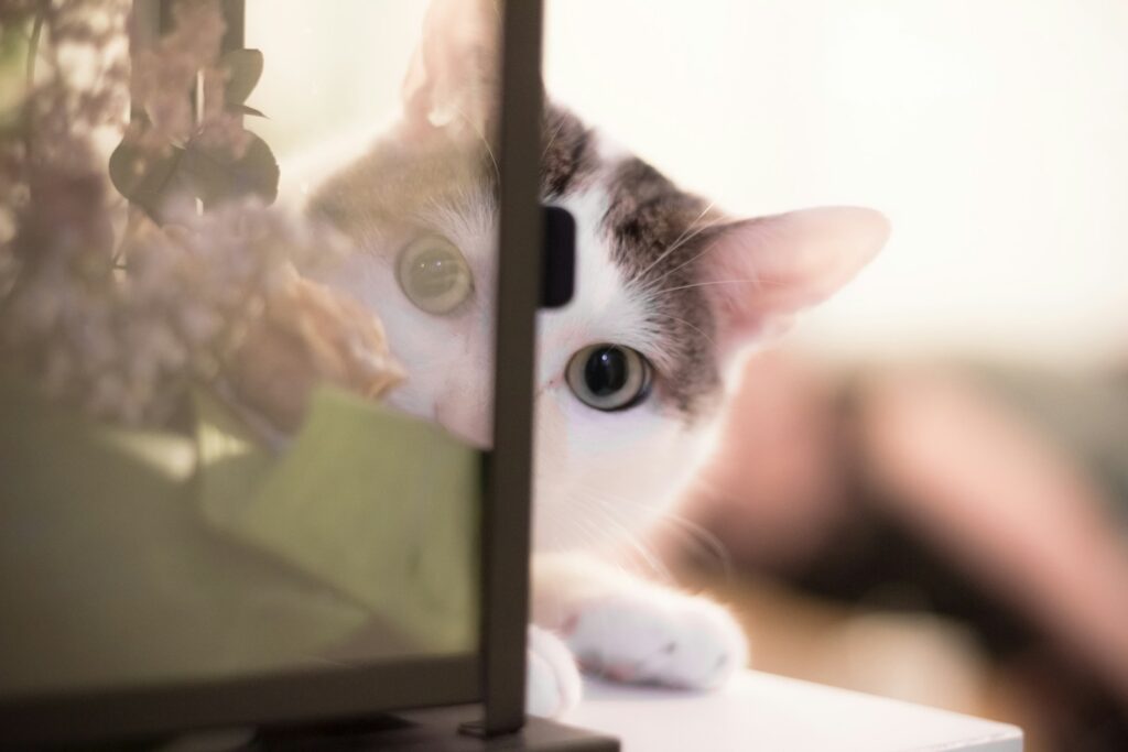 Vivere a Casalecchio di Reno tra natura e mattoni